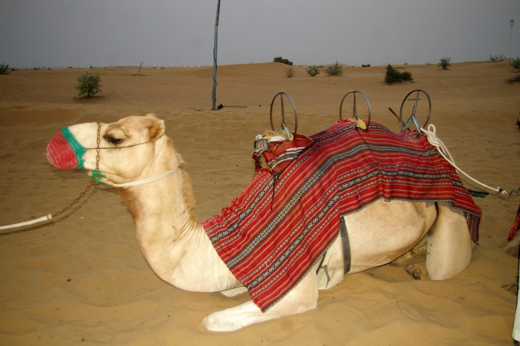 Atardecer en el desierto de Dubai, una experiencia única