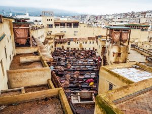 Los mejores free tours de Fez