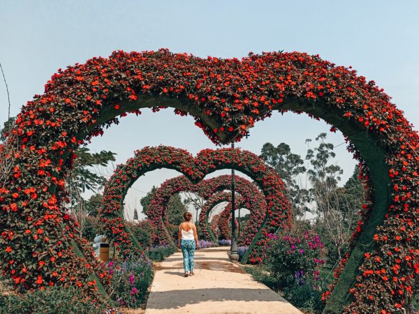 Flower Park, el sitio más popular de Da Lat