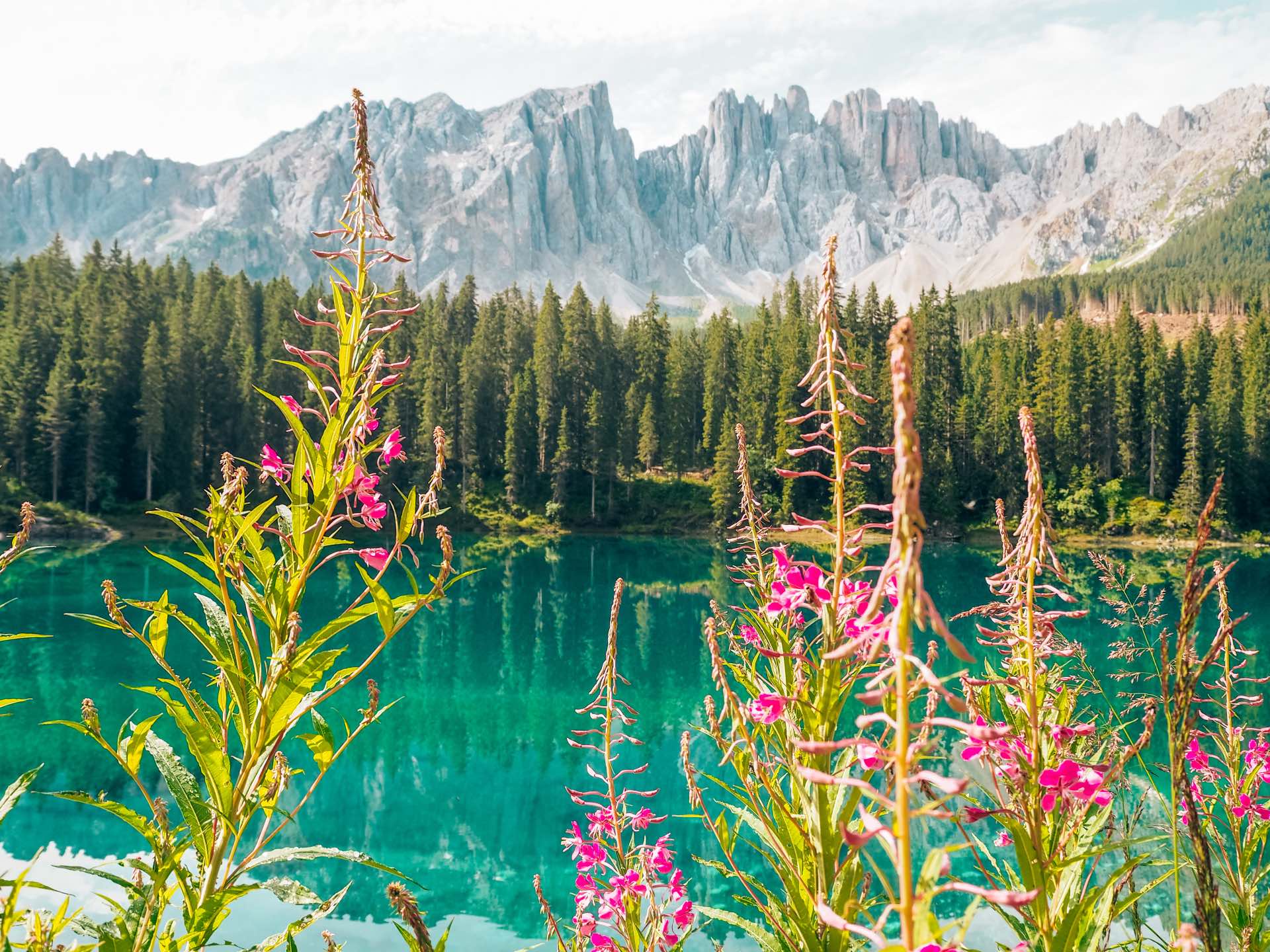 Lago di Carezza, uno de los lagos imprescindibles en Las Dolomitas, Italia