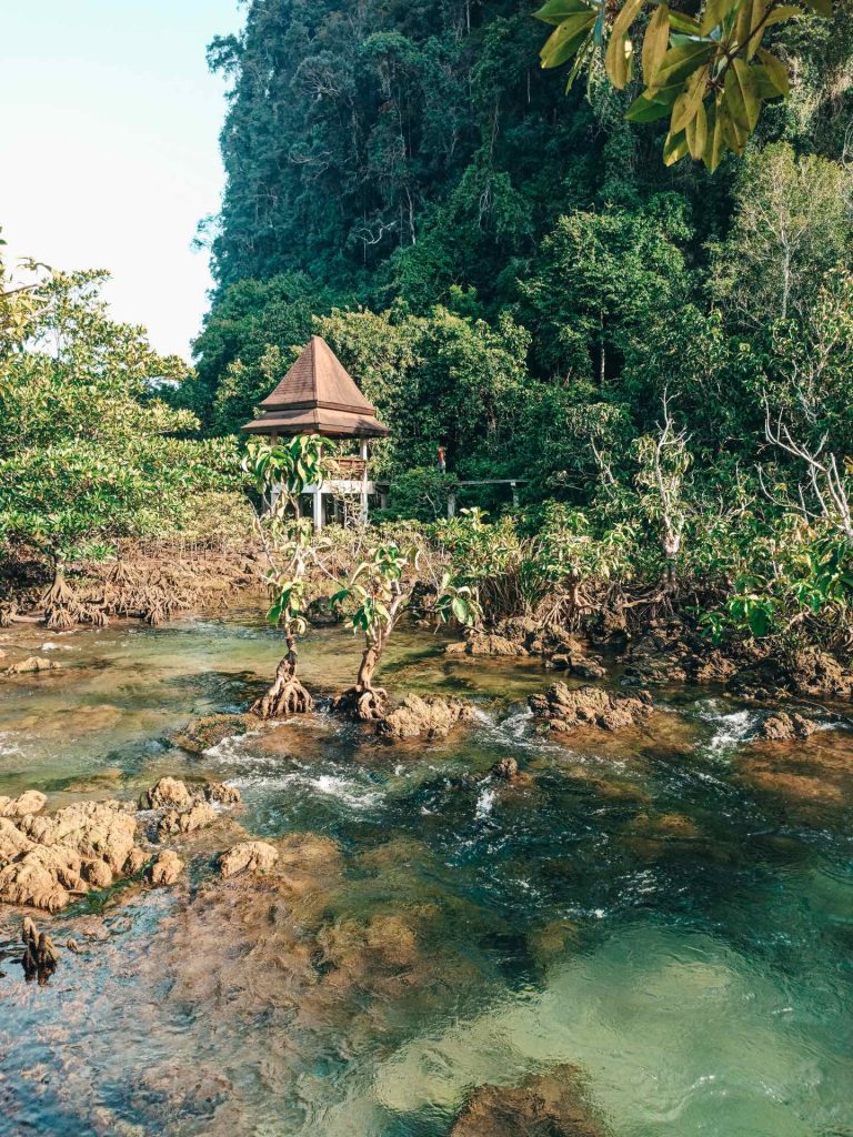 Tha Pom Klong Song Nam Nature Trail, un sendero precioso en Krabi
