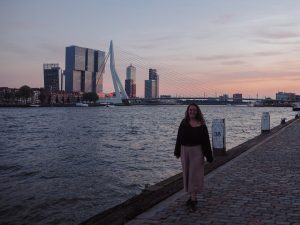 10 lugares imprescindibles que ver en Rotterdam