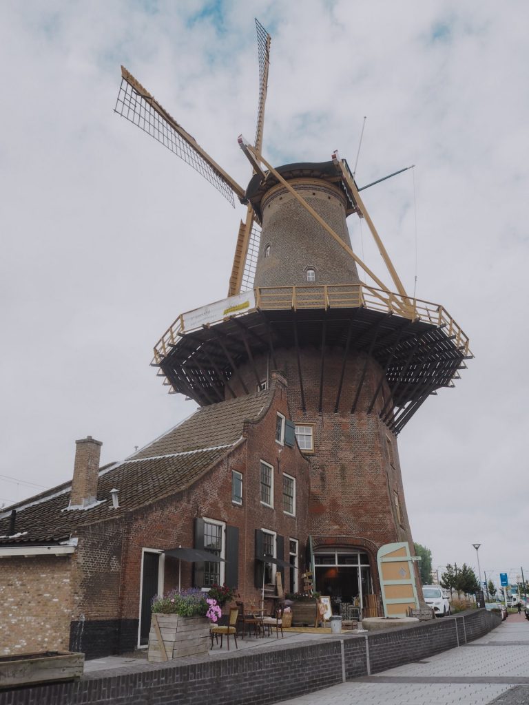 Delftse Molen de Roos, un molino de viento que ver en Delft