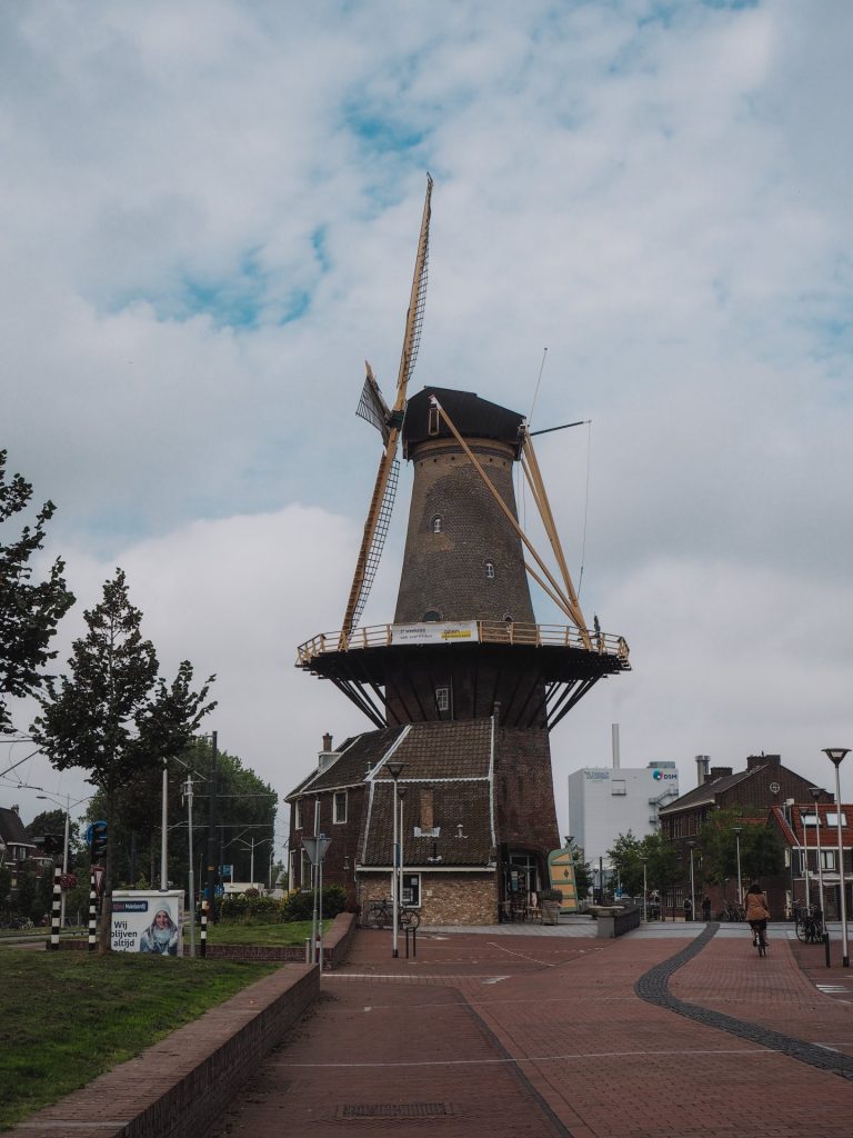 Delftse Molen de Roos, un molino de viento que ver en Delft