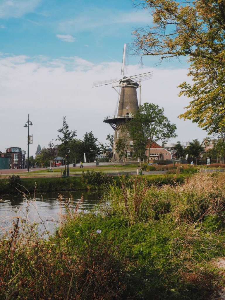 Qué ver en Leiden en un día