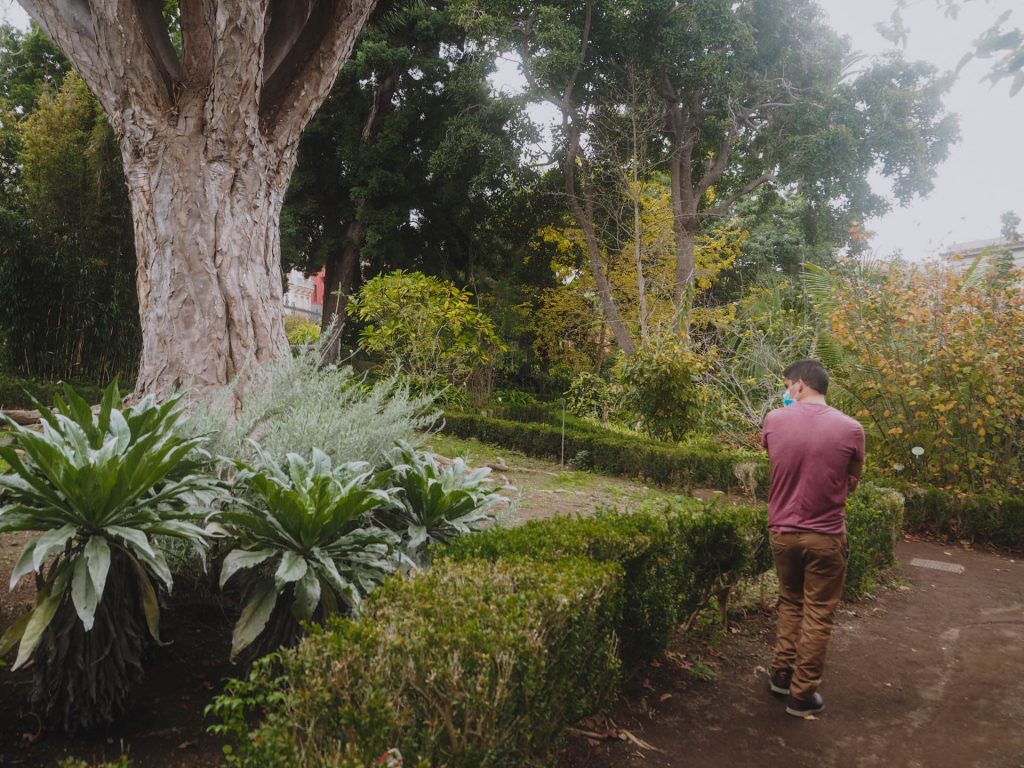 Jardines Hijuela del Botánico, un jardín tropical en La Orotava