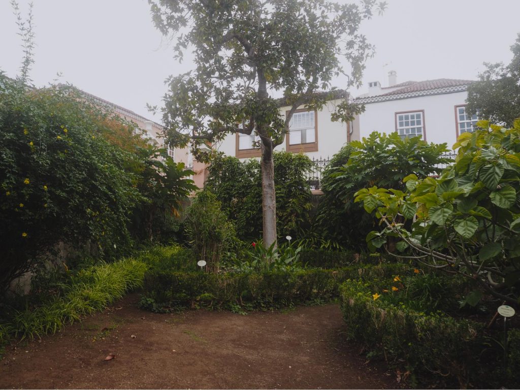 Jardines Hijuela del Botánico, un jardín tropical en La Orotava