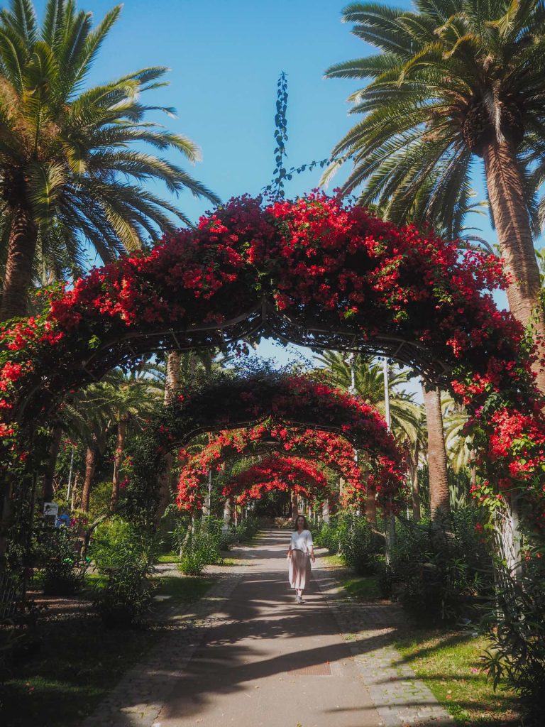 Parque García Sanabria, el parque más bonito que ver en Santa Cruz de Tenerife