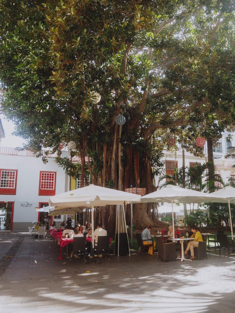 Plaza de San Francisco, la plaza más bonita que ver en Santa Cruz de Tenerife