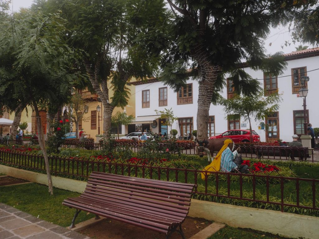 Plaza de la Constitución, el sitio con más ambiente de La Orotava