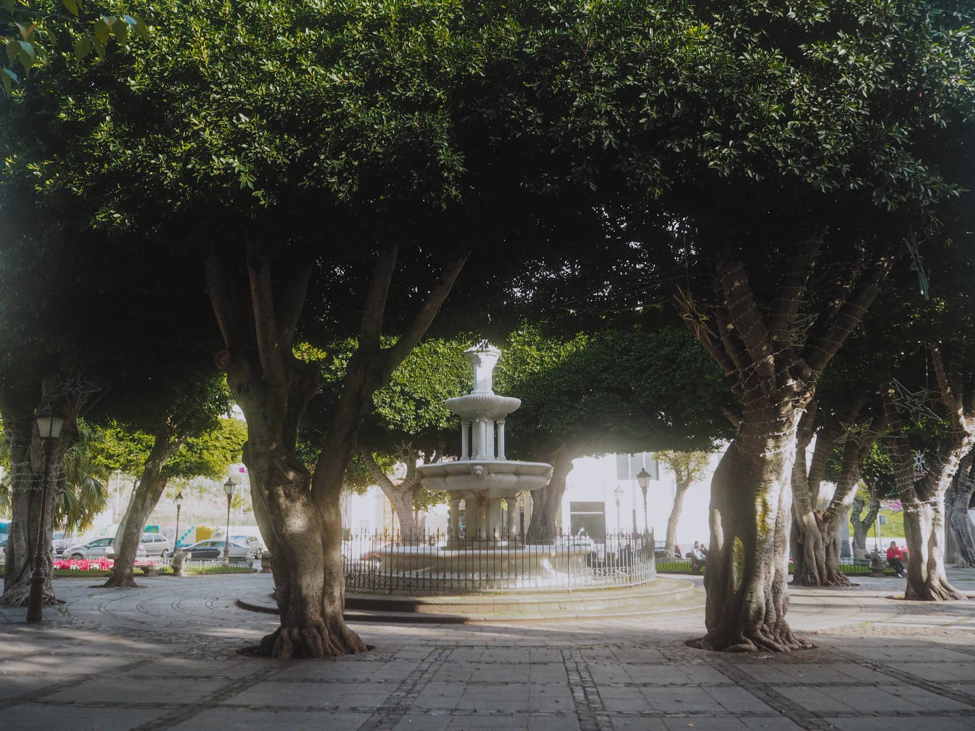 Plaza del Adelantado, una plaza preciosa en La Laguna