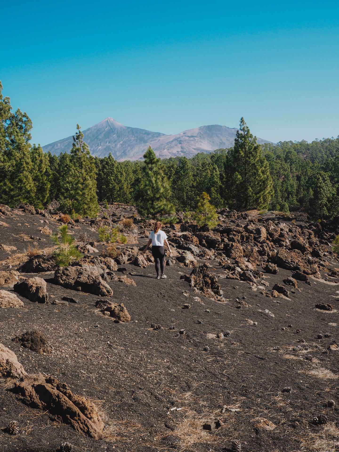 Sendero del Volcán Chinyero, una ruta llena de contrastes en Tenerife
