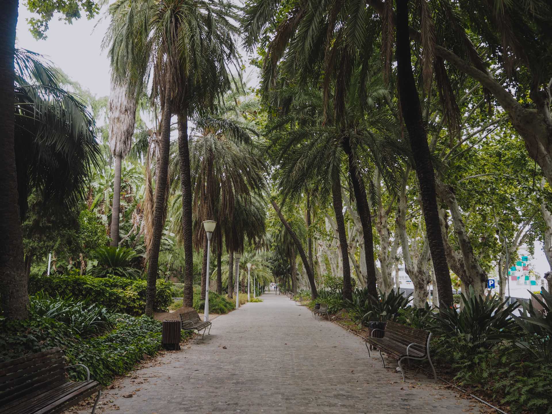 Parque de Málaga, un rincón ideal para relajarse