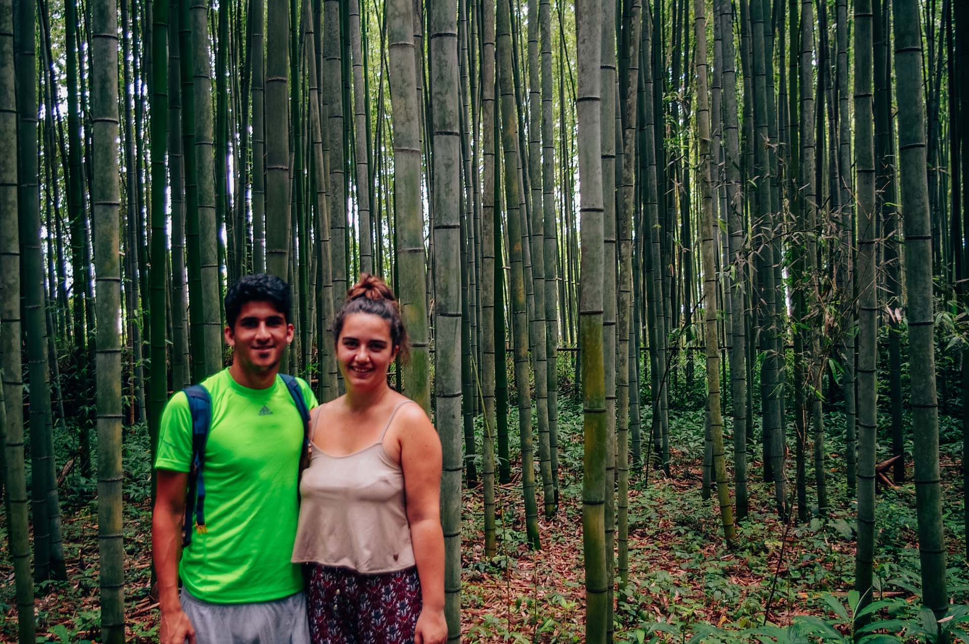 Bosque de Bambú de Arashiyama, un imprescindible que ver en Japón