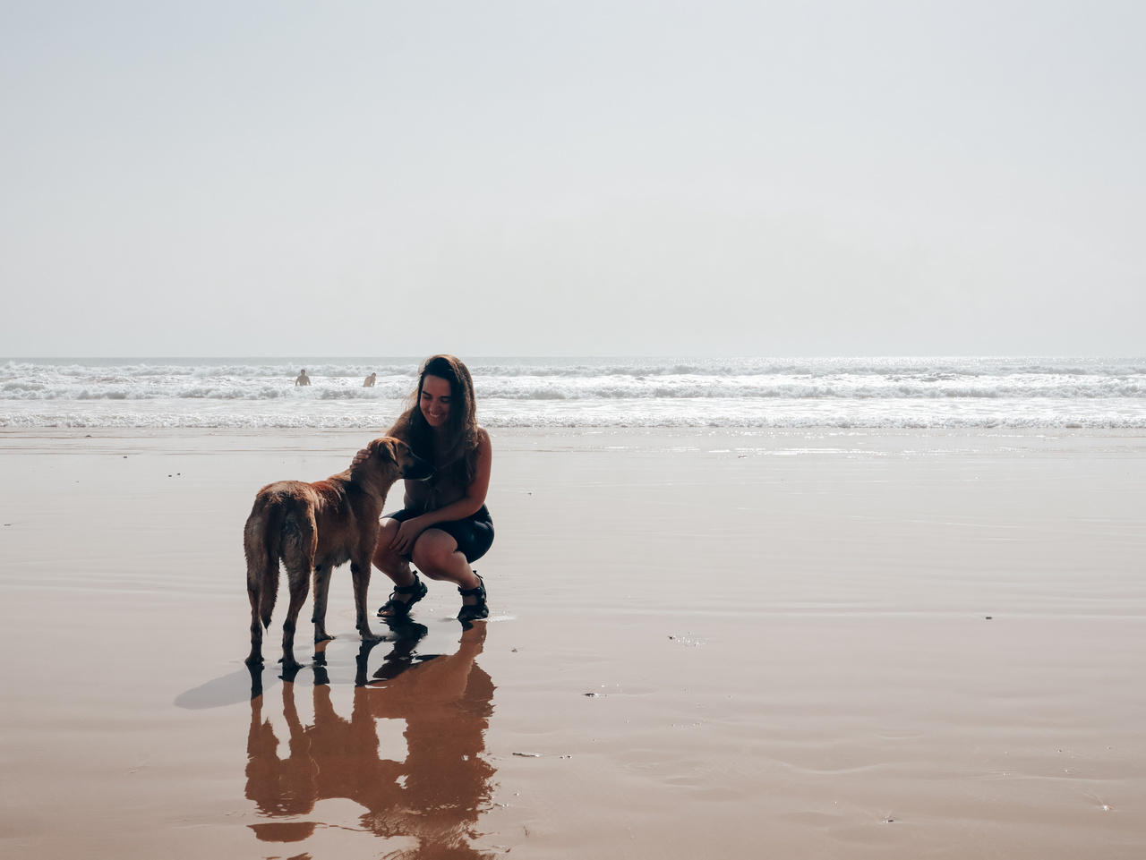Precioso momento con un perro callejero en la Playa de Taghazout